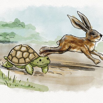 The Hare and The Tortoise